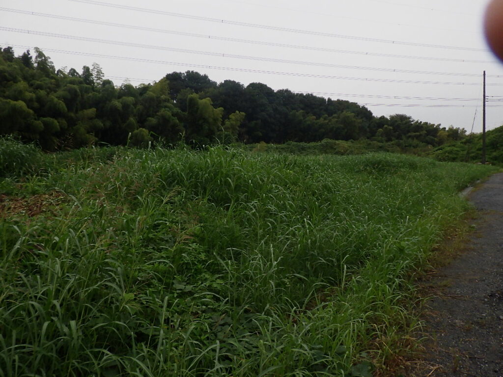 川口市発注 石神西立野特定土地区画整理事業 １３６街区ほか造成工事 ｜廣橋工業