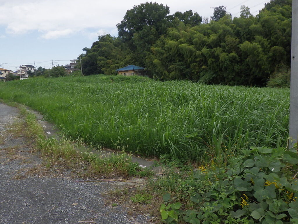 川口市発注 石神西立野特定土地区画整理事業 １３６街区ほか造成工事 ｜廣橋工業